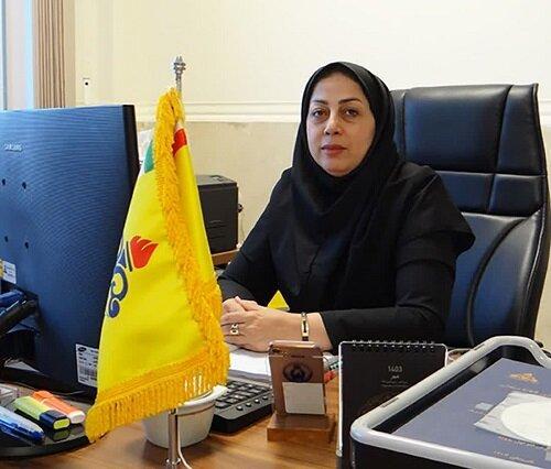 بیش از ۵هزار مشترک جدید در قزوین به شبکه گاز پیوستند