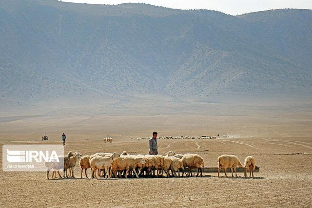 عشایر خراسان شمالی و روزگار تلخ خشکسالی