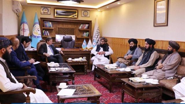 تأکید بر همکاری بینالمللی برای مبارزه با مواد مخدر در دیدار مقام طالبان با نماینده ارشد سازمان ملل