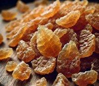 کشف شیره گياهان دارويی آنغوزه در کوهسرخ