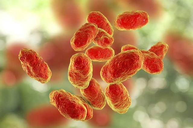 یک بیماری مرگبار وجود دارد که بهلطف واکسنها احتمالاً تاکنون نامش را نشنیدهاید