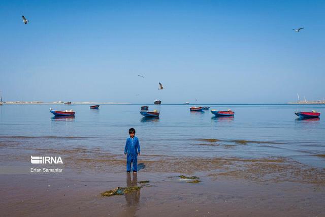 راهاندازی نرمافزار«وارمی»؛ گامی نو در مدیریت ورود گردشگران به جزیره هرمز