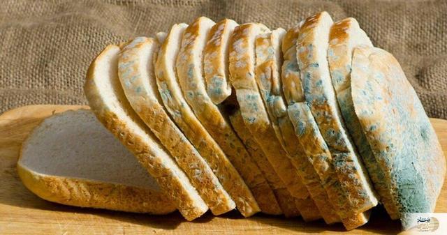 سموم مرگبار در مواد غذایی کپکزده؛ هشدارهای جدی برای سلامتی