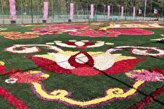 بزرگترین فرش سرگل آسیا در محلات رونمایی شد (فیلم)