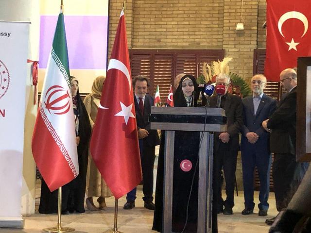 بهروزآذر: ظرفیتهای گسترده فرهنگی و هنری، پایه همکاری پایدار ایران و ترکیه