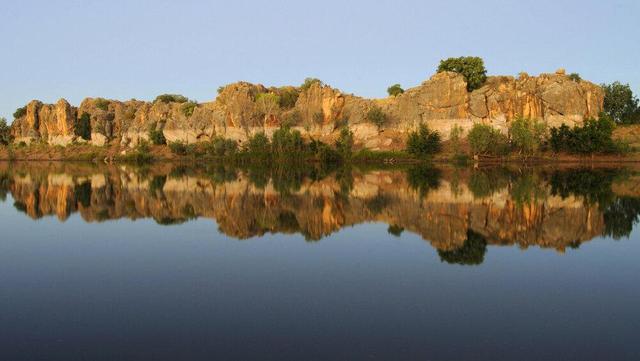 المپیک ۲۰۳۲ در قلمرو کروکودیلها!