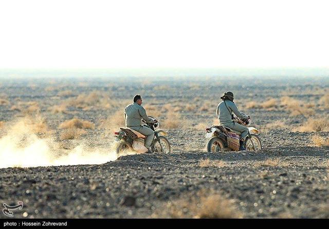 این حیوان در ایران از خطر انقراض فرار کرد؛ از اعلام رسمی انقراض تا اعلام احیای دوباره + فیلم