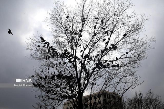 مهر امسال؛ بیبارشترین ماه ۴۰ سال اخیر/ لزوم صرفهجویی در مصرف آب