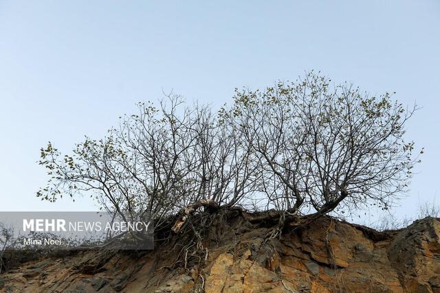 دگردیسی یک شکارچی به محافظ طبیعت