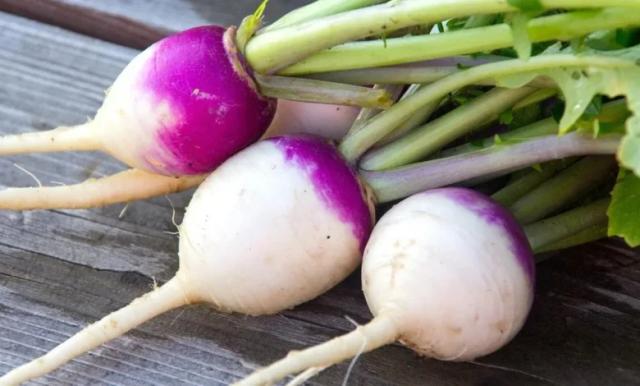 هفت خاصیت شگفتانگیز شلغم