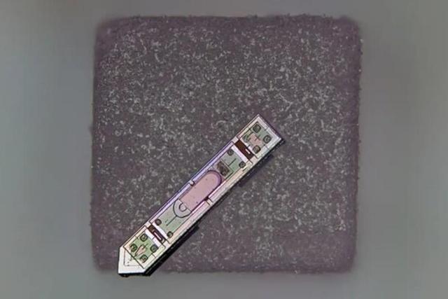 رصد مغز از طریق یک دانه نمک!