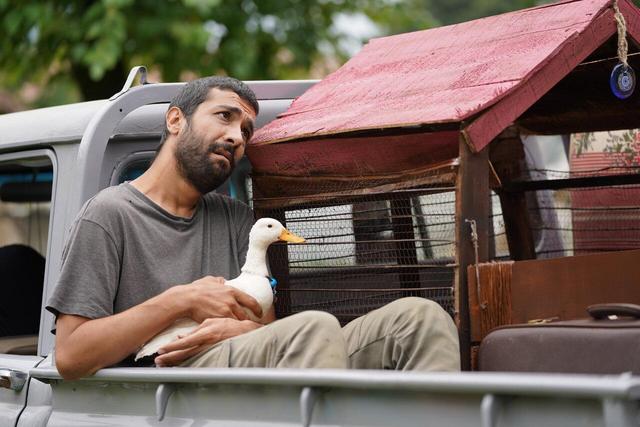 «عاشق پاییز» صاحب تیزر شد