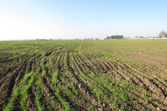 کاهش 140 میلیارد مترمکعبی بارشهای کشور