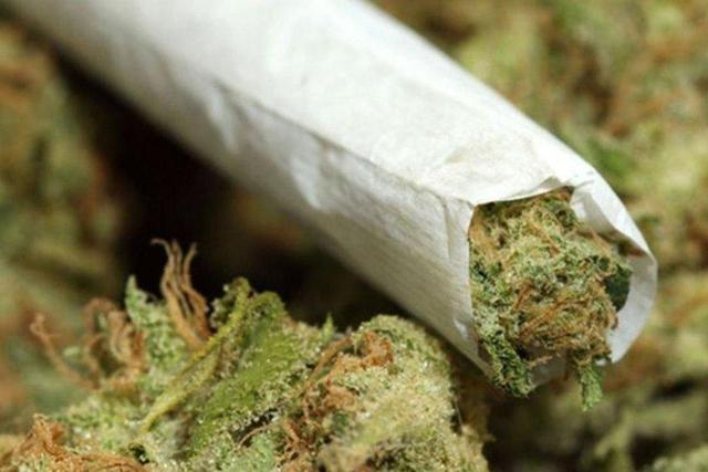 از گل تا کمیکال؛ مخدرهایی که ذهن و بدن را میسوزانند