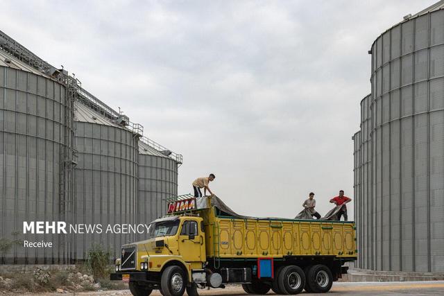 مومنی: ایجاد هاب تأمین غلات در شمال کشور اولویت مازندران است