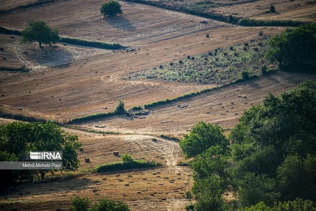 ۹۶۹ هکتار از اراضی بایر دولتی بجنورد تعیین تکلیف شد