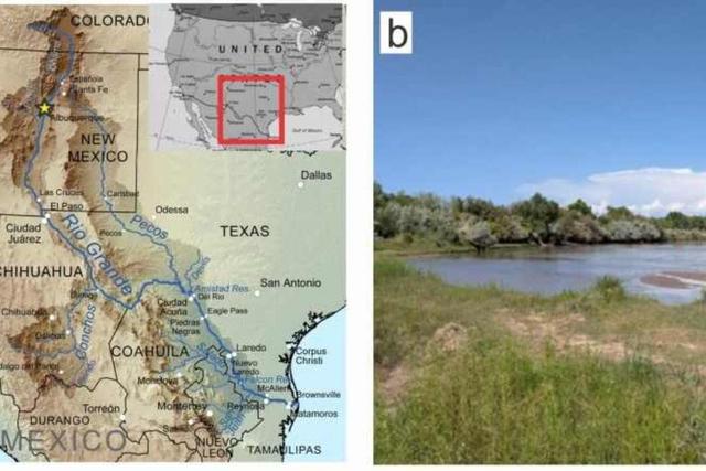 کشف راز اقلیم باستانی زمین با گیاهان 400 میلیون ساله