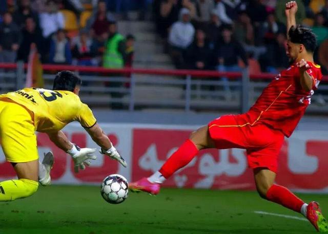 گل محمدی طلسمشکنی کرد