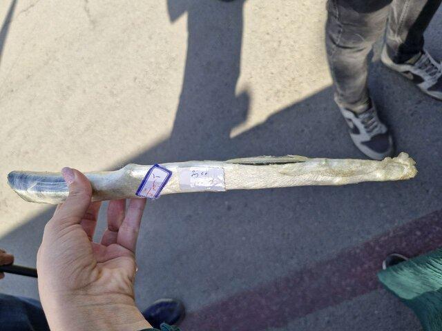 ترفند عجیب خفت گیرها برای فرار از مجازات