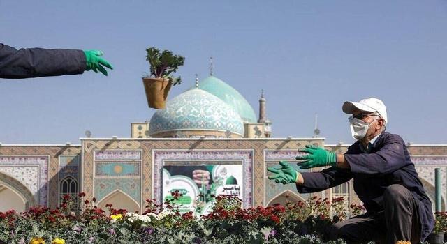 گلآرایی پاییزی حرم مطهر رضوی با کاشت ۷۰ هزار بوته گل رنگارنگ