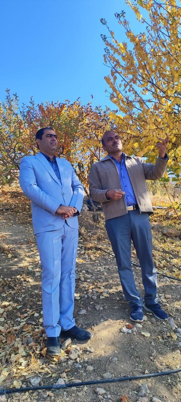 اعلام آمادگی یک سرمایهگذار برای اجرای طرح بزرگ گردشگری در شهرستان دنا