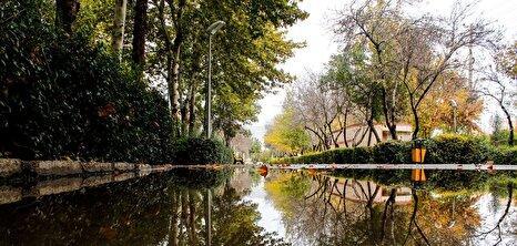 لحظههای گم شده