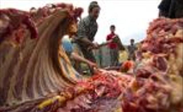 بازداشت خانواده سهنفره در پرونده کشتار غیرمجاز الاغ