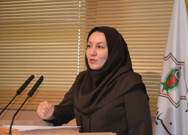 محمدی: موقعیت راهبردی ایران عامل شکلگیری وحدت ملی و مقاومت تاریخی است