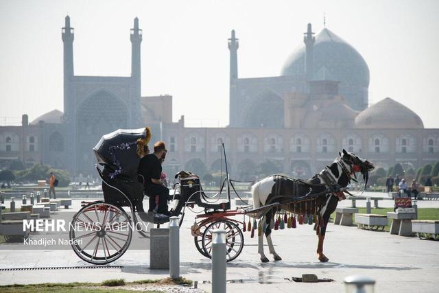 هوای خاکستری شهر