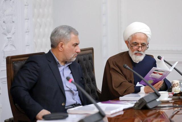 انصاری: آسیبشناسی نحوه اجرای قانون اساسی از مهمترین موضوعات است