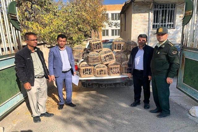 ۱۲ قطعه کبک از چنگ شکارچیان غیرمجاز در بوکان نجات یافتند