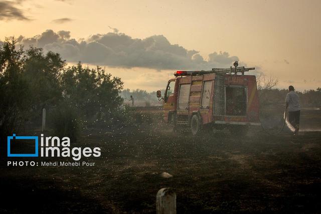 آتشسوزی نخیلات در بخش فین شهرستان بندرعباس