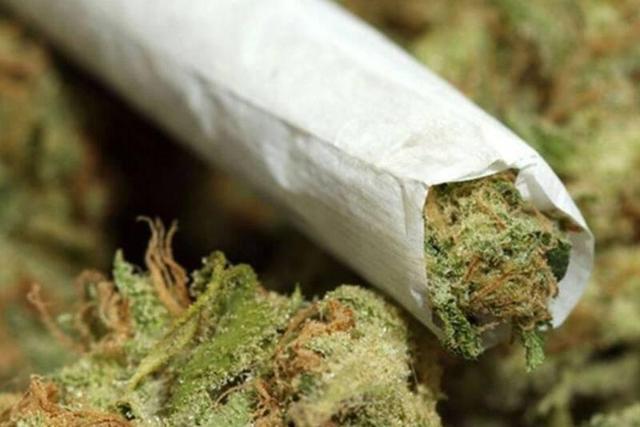 «گل» حتی از «حشیش» هم ویرانکنندهتر است