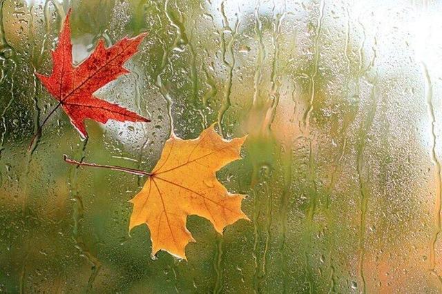 کارشناس هواشناسی: همدان رنگ و بوی پاییزی میگیرد