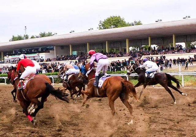 آغاز هفته نخست کورس اسبدوانی گنبدکاووس+ فیلم