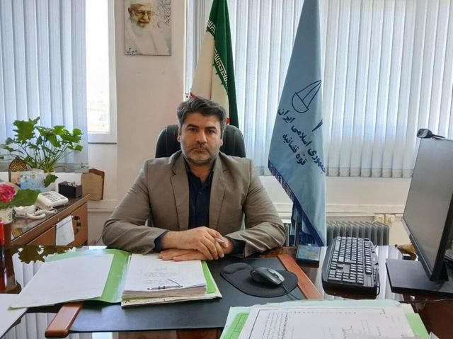 دادستان تویسرکان: شهرداریها و دهیاریها موظف به جمعآوری سگهای ولگرد هستند