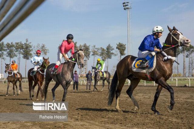 تاخت ۶۵ اسب در روز دوم هفته اول کورس گنبدکاووس+ فیلم