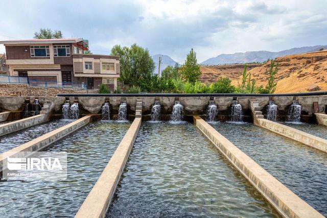 چهارمحال و بختیاری پایلوت هوشمندسازی شیلات کشور میشود