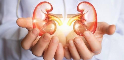 این بیماری کلیوی تا به مرحله دیالیز نرسد بی علامت میماند؛ هر از گاهی آزمایش ادرار بدهید!