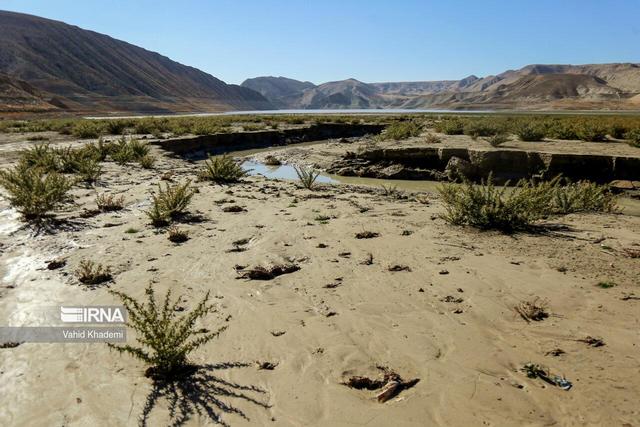 برخی از دشت های استان بوشهر ۳متر افت آب زیر زمینی دارند