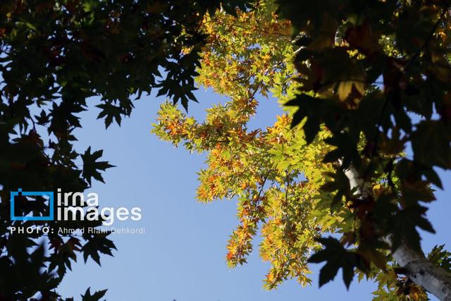 خبری از بارش باران در مازندران نیست