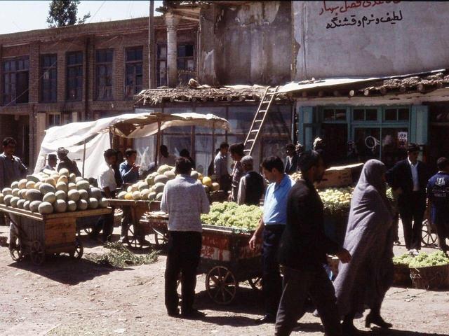 افتضاح تاریخی: پیاز کمیاب شد، از خارج وارد کردیم! +عکس