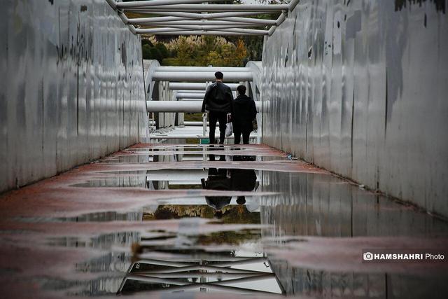 پخش زنده از بارش باران پاییزی در غرب کشور | ویدئو