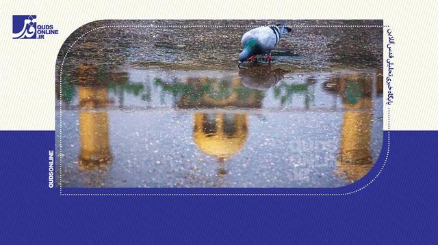 بارش باران در کربلای معلی