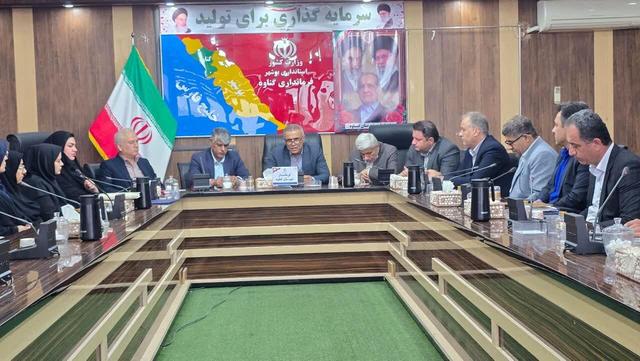 فرماندار گناوه: رشتههای دانشگاهی متناسب با دریا افزایش یابد