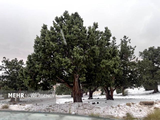 اولین برف پاییزی در ایستگاه ۷ توچال تهران