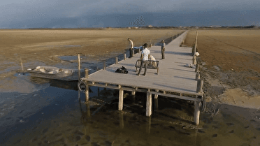 زنگ هشدار دوباره برای خلیج گرگان