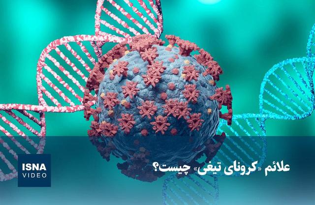 ببینید | علائم «کرونای تیغی» چیست؟