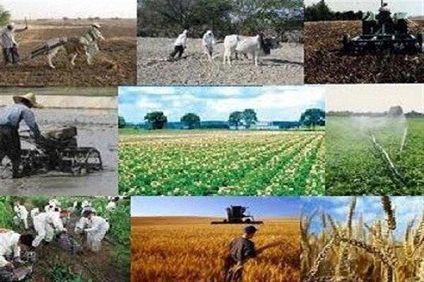 پرداخت ۶۵۰۰ میلیارد ریال تسهیلات اشتغال در گیلان