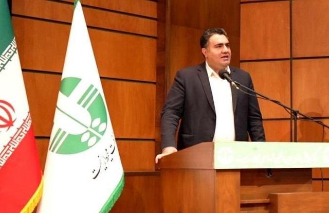 کتابخانهها ریههای محیط زیست فرهنگیاند؛ همانگونه که جنگلها ریههای زمین هستند